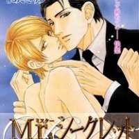  ����� Mr. Secret Floor - Shousetsuka no Tawamure na Hibiki <small>Art</small> 